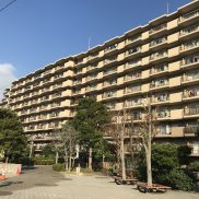 総戸数３４０戸の大規模マンション(外観)